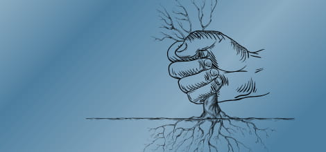 Retained root fragment following extraction image